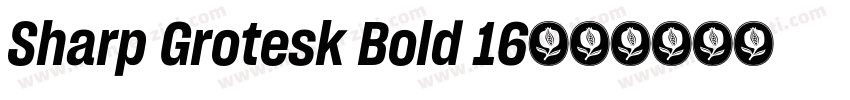 Sharp Grotesk Bold 16字体转换